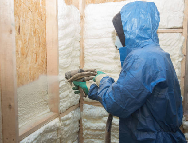 Professional Insulation Services in Savanna, IL